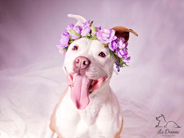/Images/uploads/Humane Society of Utah/HSUCalendar/entries/1137thumb.jpg